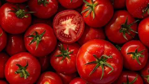 تصویر 3 از گوجه فرنگی رسیده آبدار شیرین مجلسی